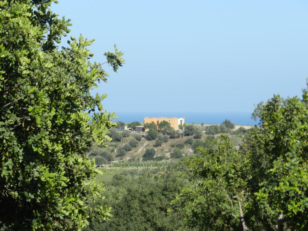 Villa Zammarra Casa Maccari Exterior foto